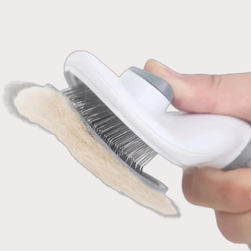 Brosse pour chien et chat avec bouton de nettoyage 