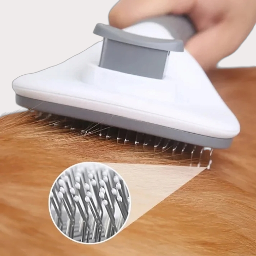 Brosse pour chien et chat démèlante 