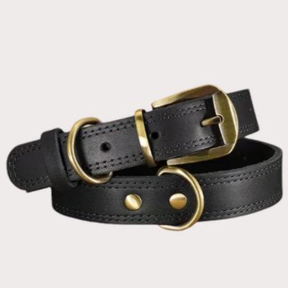 Collier pour chien en cuir Max, coloris noir 