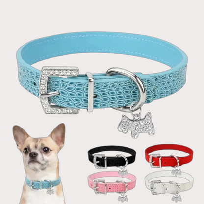 Collier pour chien avec pendentif chien 