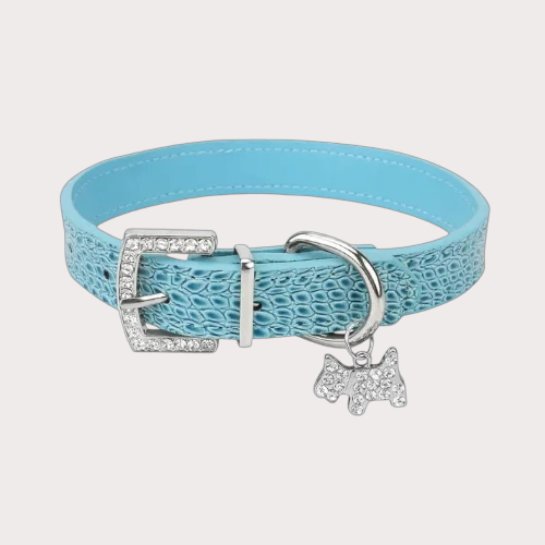 Collier pour chien avec pendentif chien, bleu 