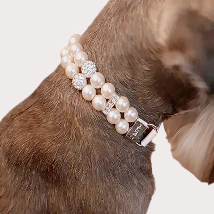 Collier pour chien avec perles et strass sur modèle 