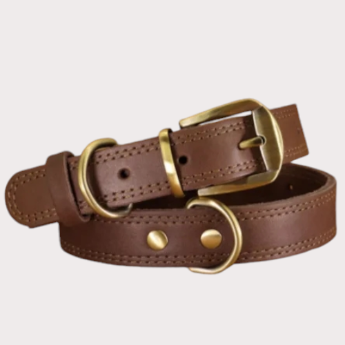 Collier pour chien en cuir Max, coloris marron 