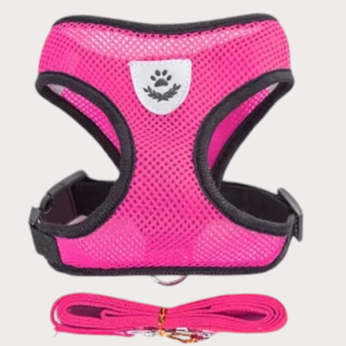 Harnais pour chien et chat avec laisse coloris fuchsia 