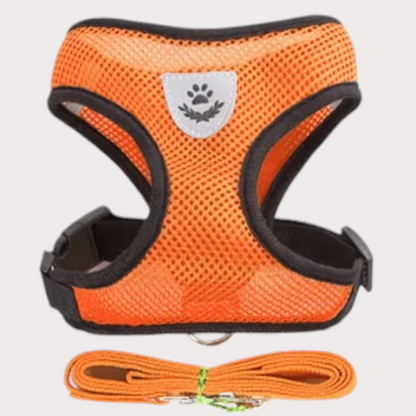 Harnais pour chien et chat avec laisse coloris orange 