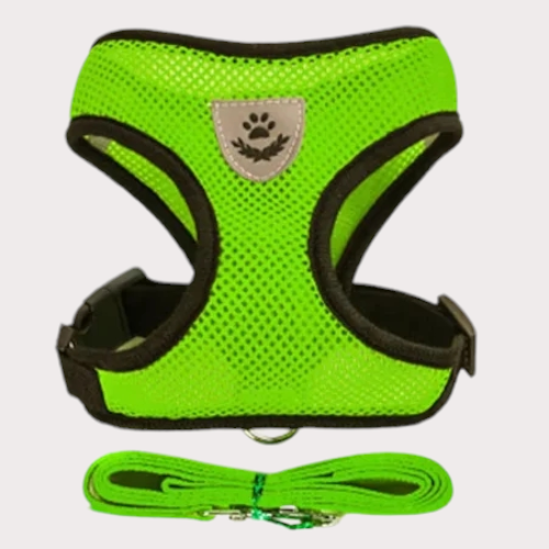 Harnais pour chien et chat avec laisse coloris vert 