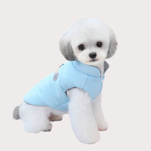 Manteau pour chien et chat façon doudoune coloris bleu 