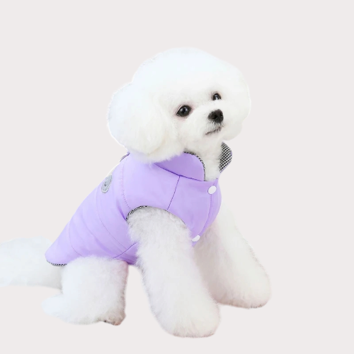 Manteau pour chien et chat façon doudoune coloris violet